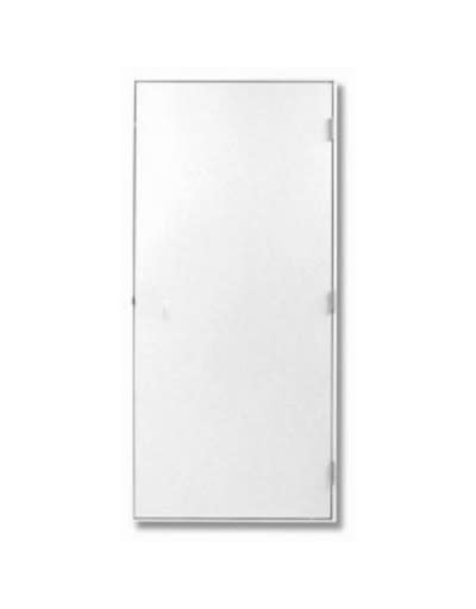 34 X 78 BLANK DOOR