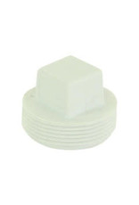 6" PVC CLEANOUT PLUG