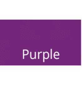 Purple Survey Marking Paint 20 oz