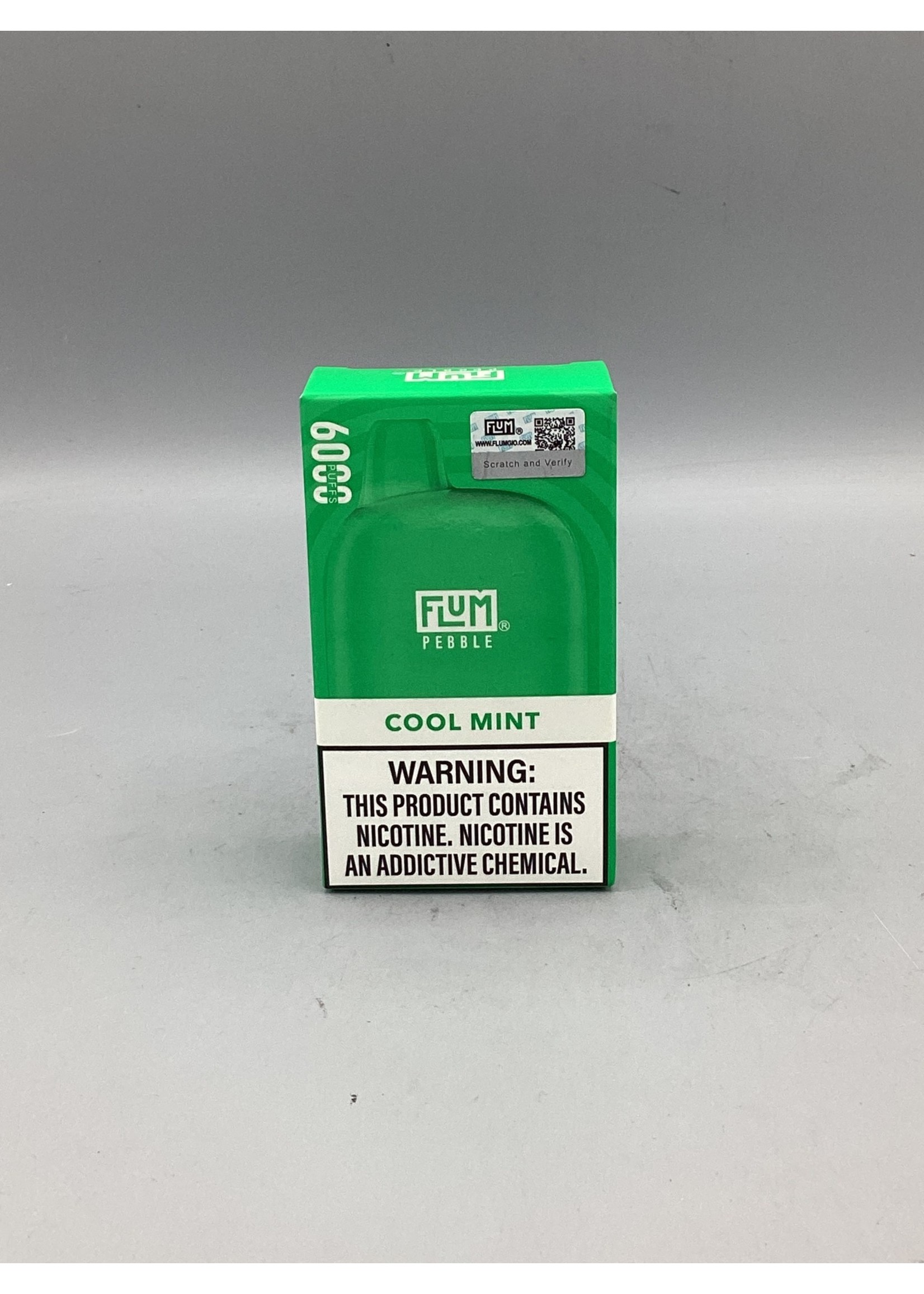 FLUM Flum Pebble Cool Mint 6000 Puffs Rechargeable
