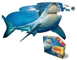 I Am Shark 100pcs