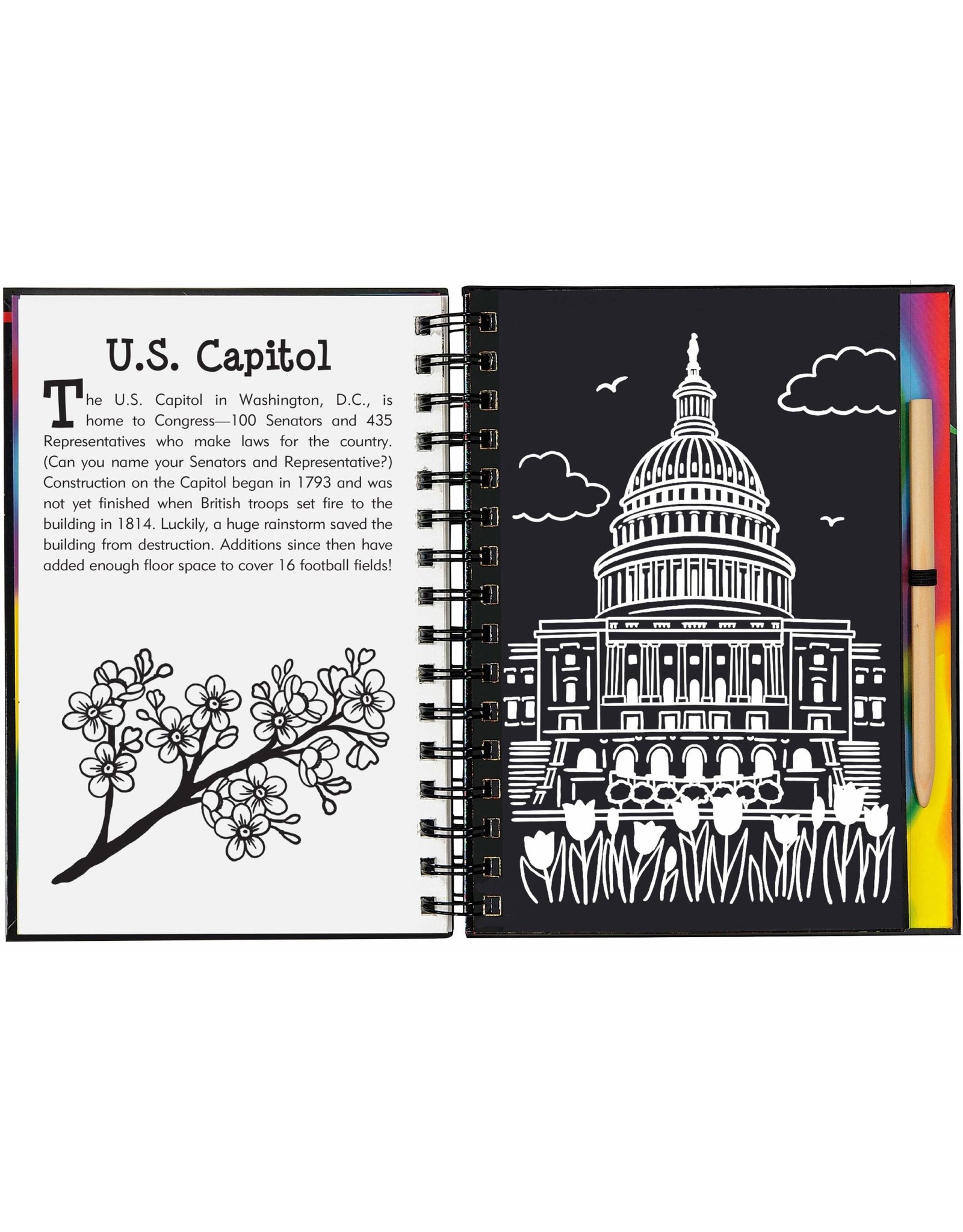 Scratch and Sketch America