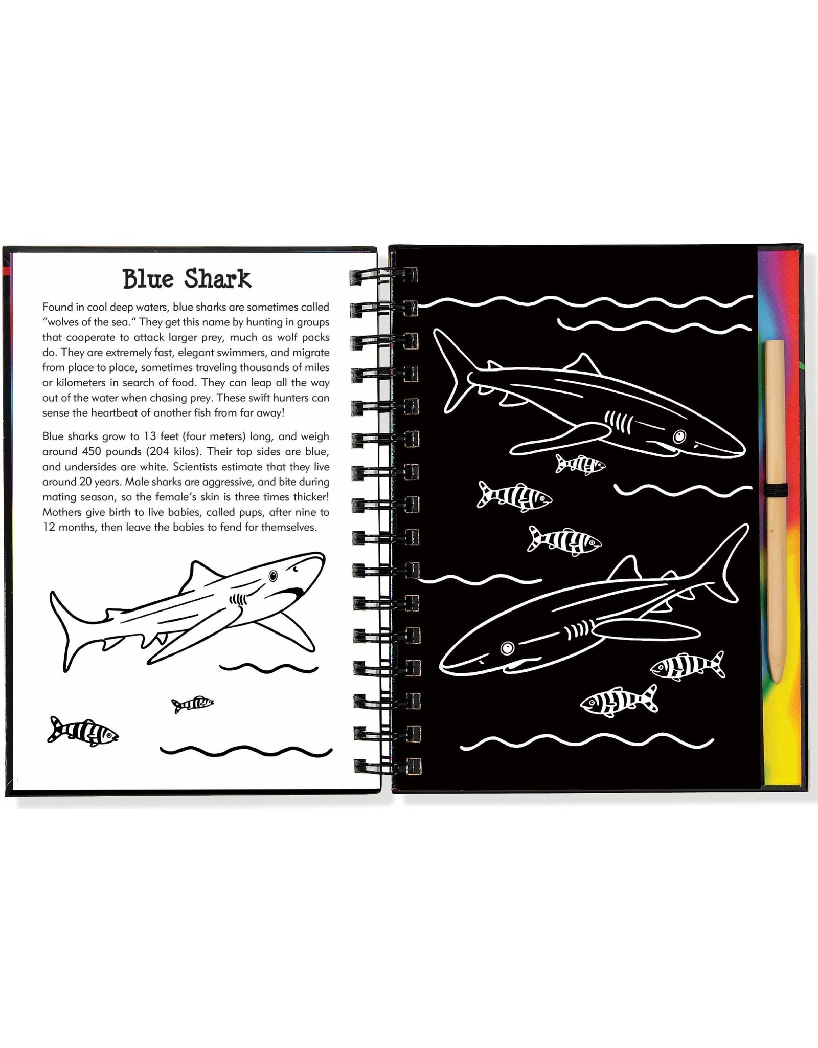 Scratch and Sketch Sharks