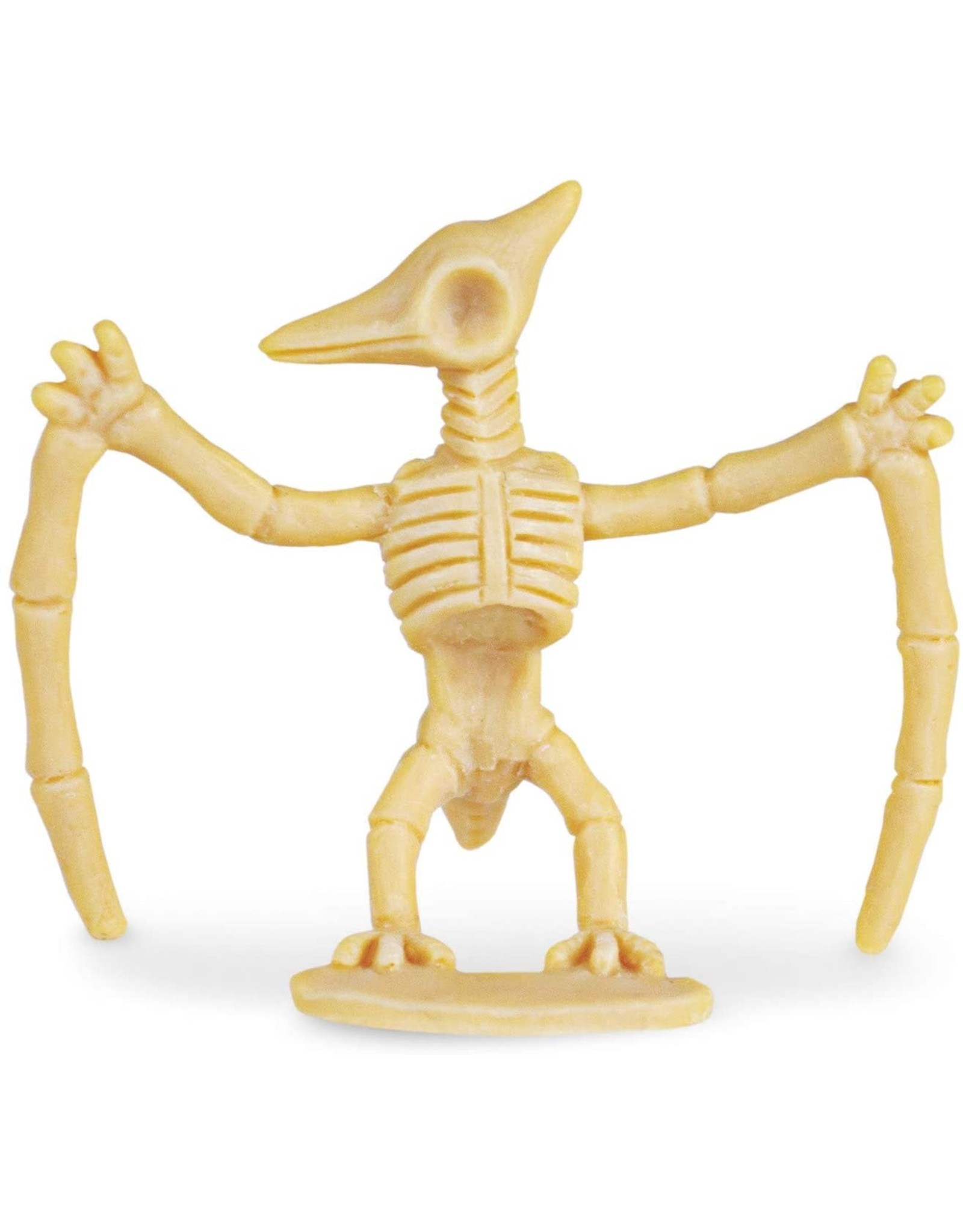 Dig it Up! Dino Skeletons Individual