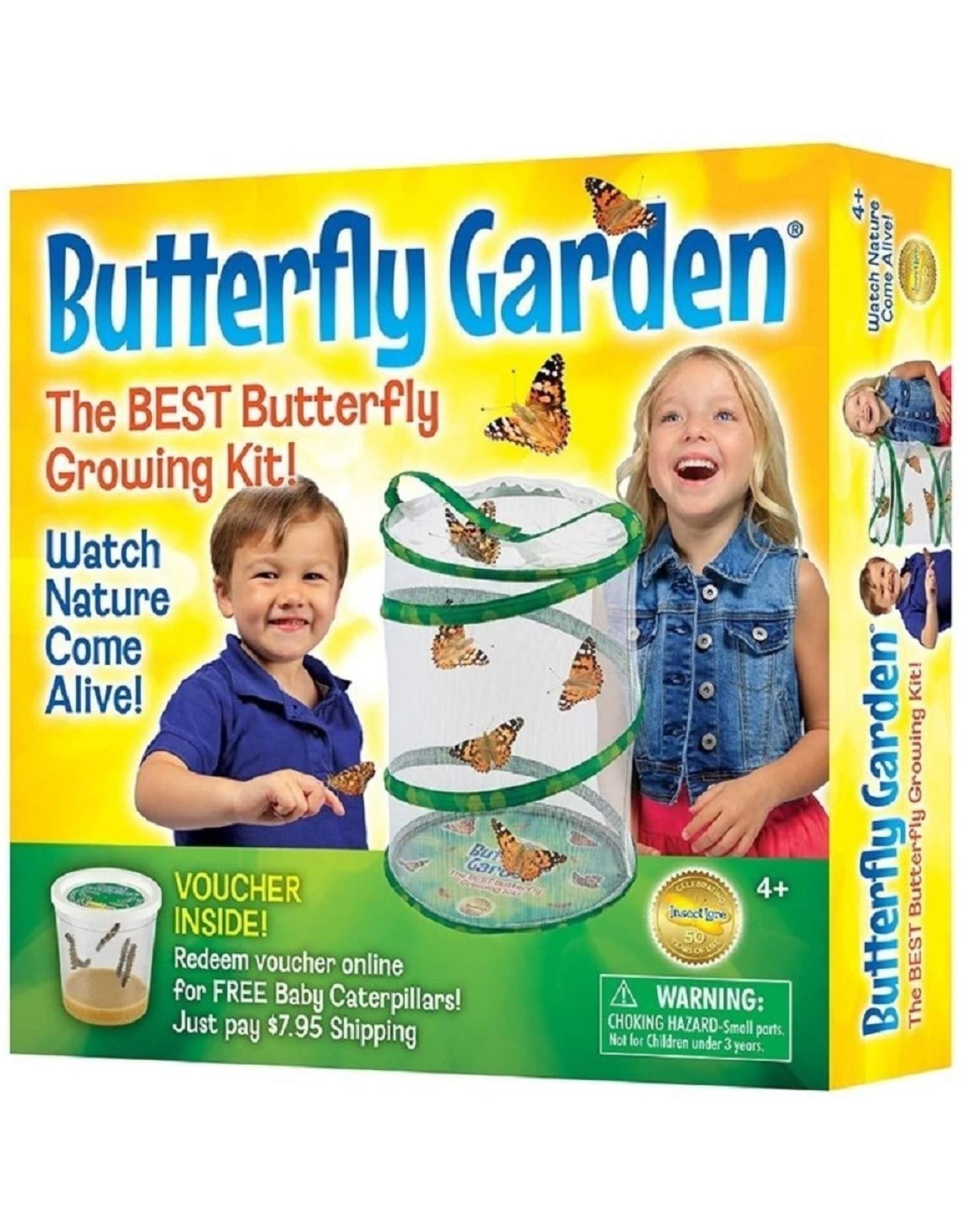 Butterfly Garden