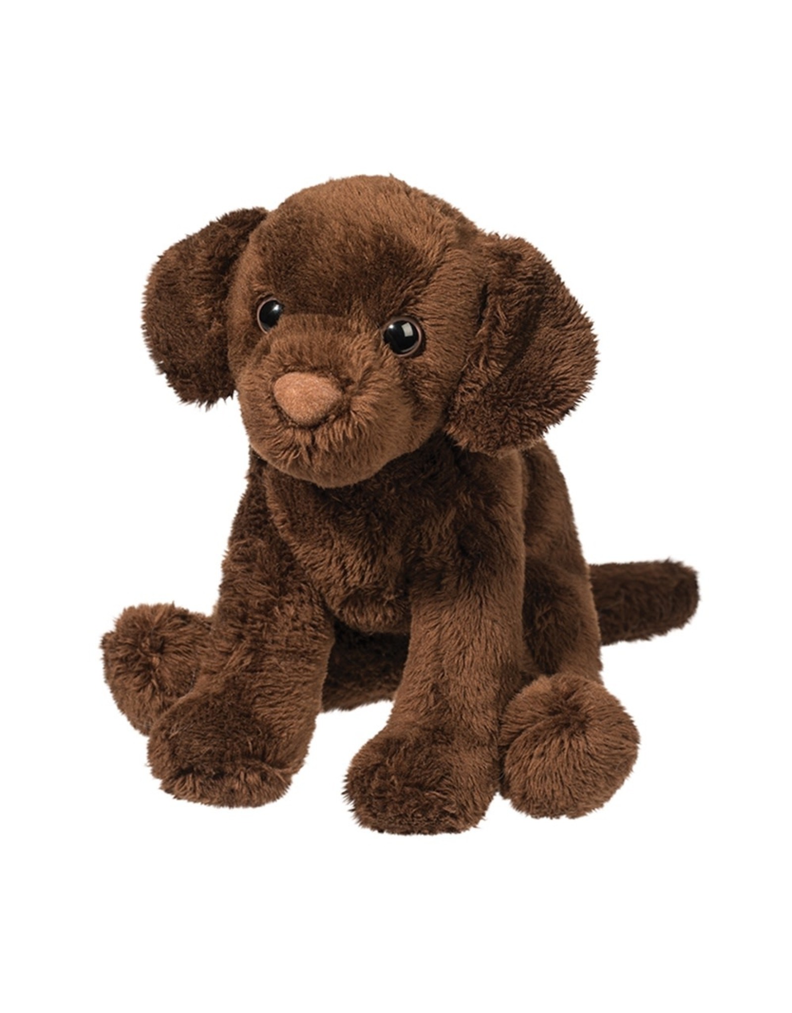 Finn Chocolate Lab 5"