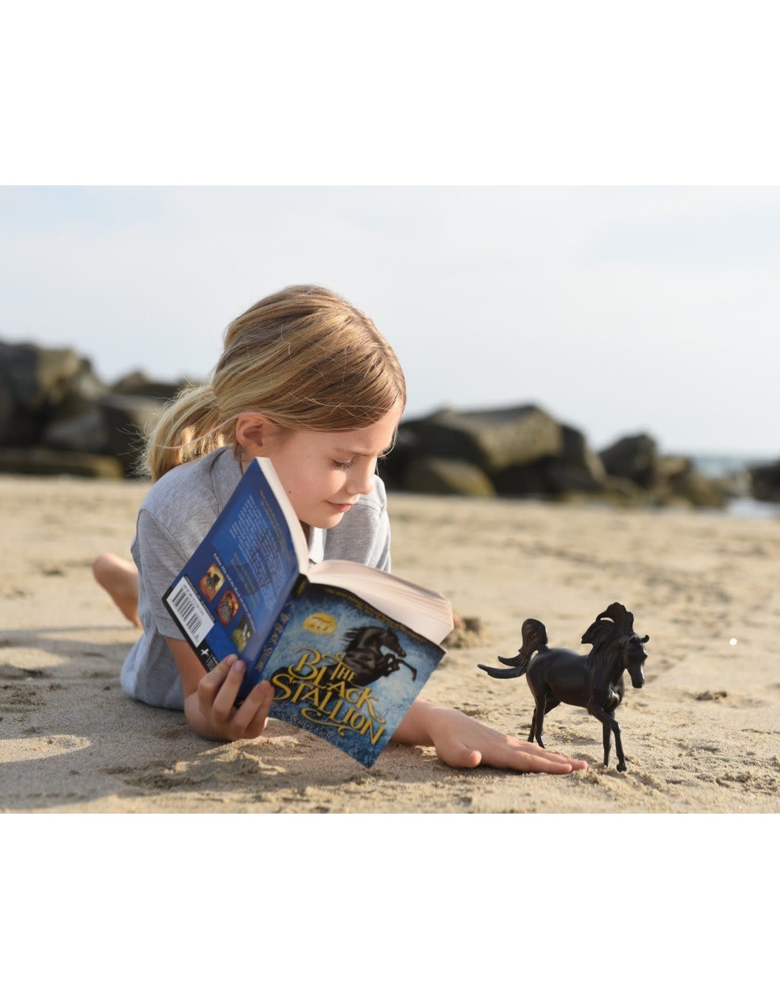 Breyer Black Stallion Horse & Book Set