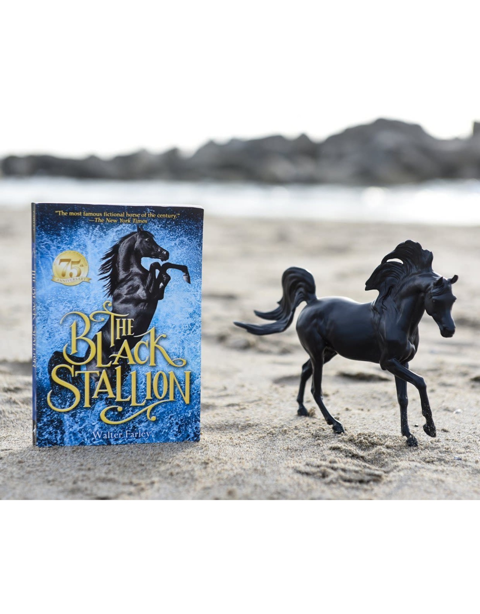 Breyer Black Stallion Horse & Book Set