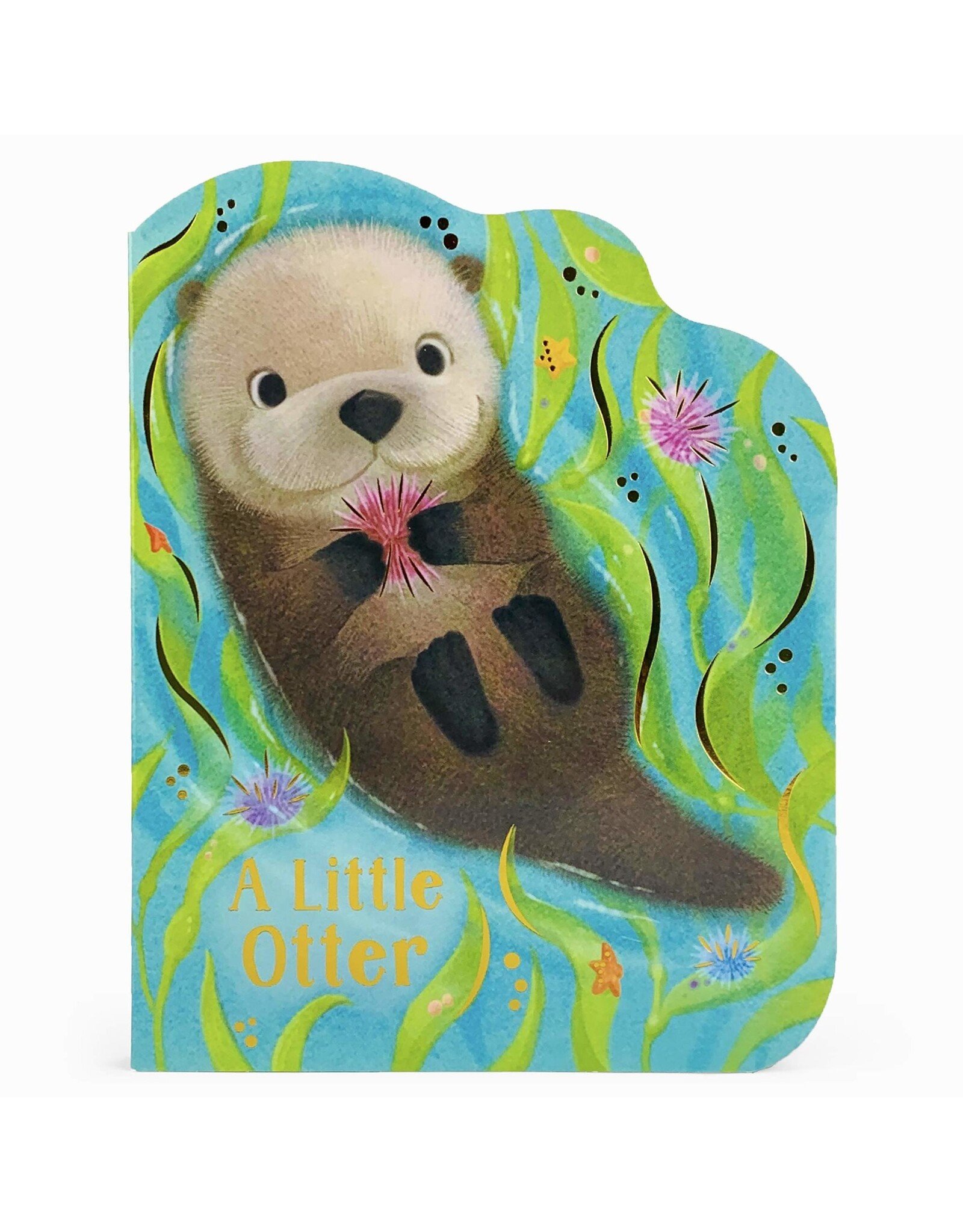 A Little Otter