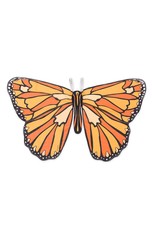 Colorful Butterfly Wings Orange