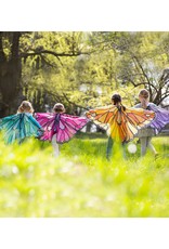 Colorful Butterfly Wings Orange