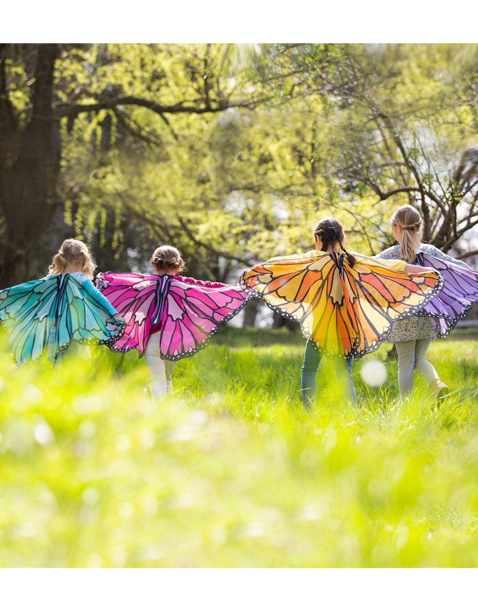 Colorful Butterfly Wings Orange