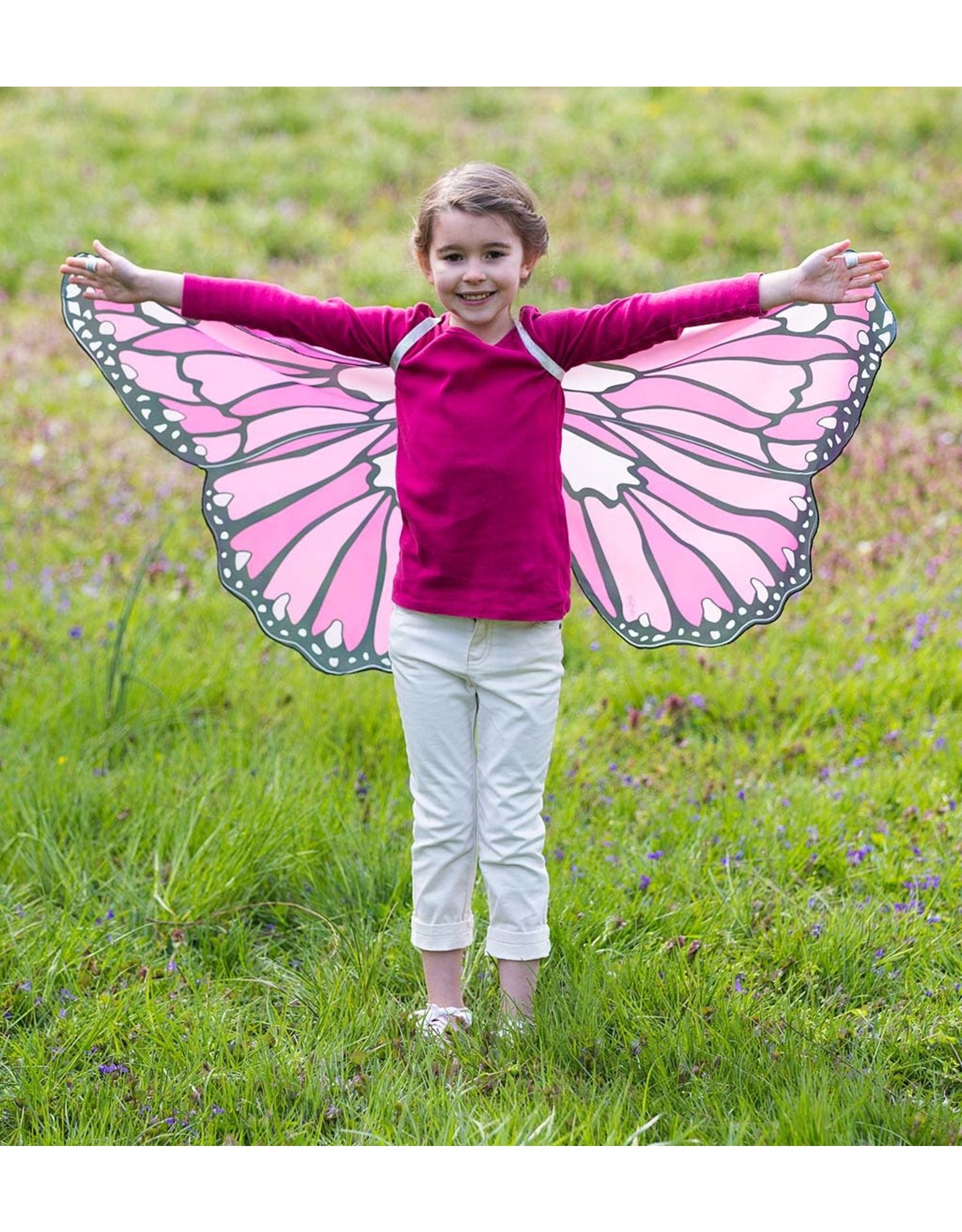 Colorful Butterfly Wings Pink