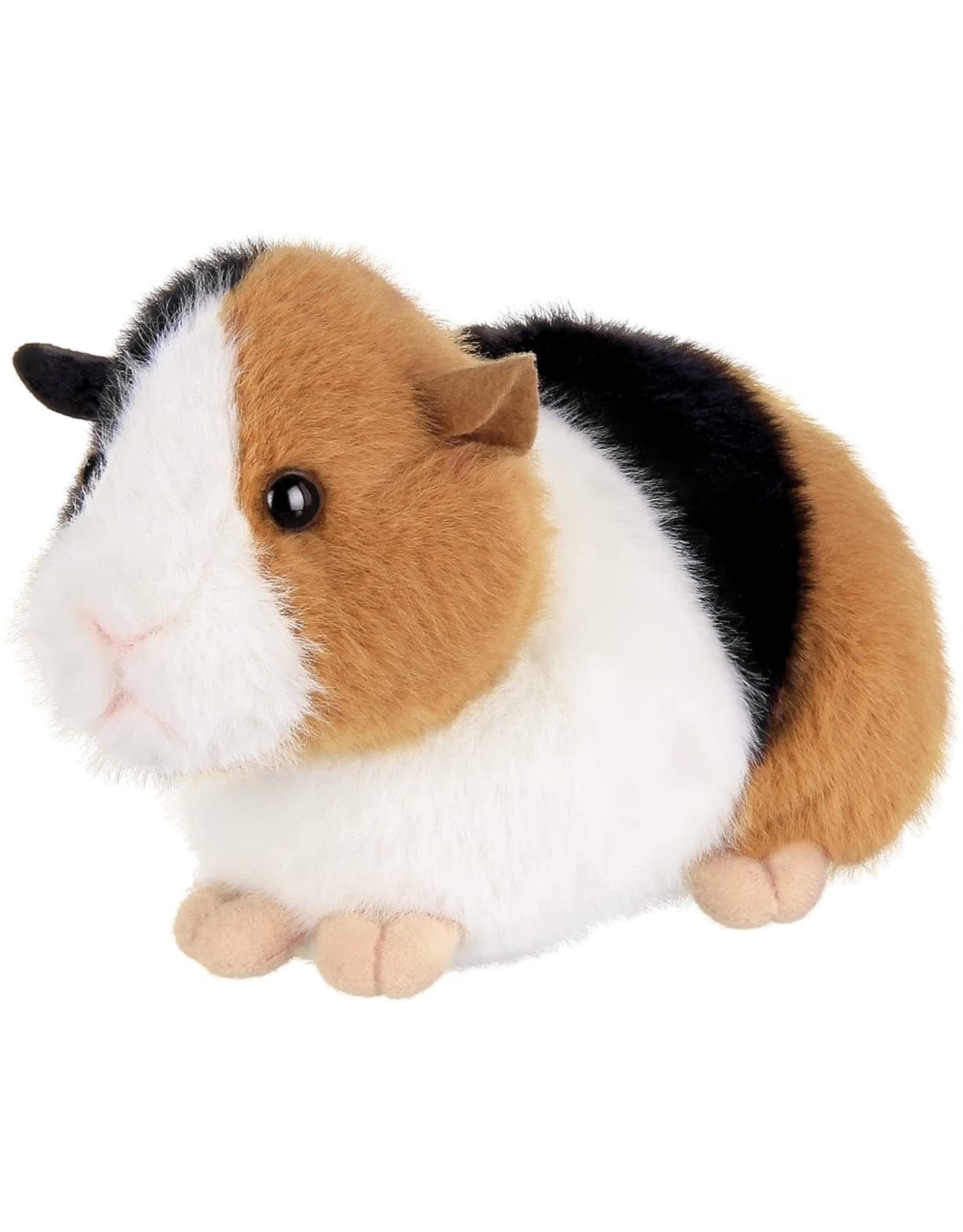 Scooter the Guinea Pig 8"