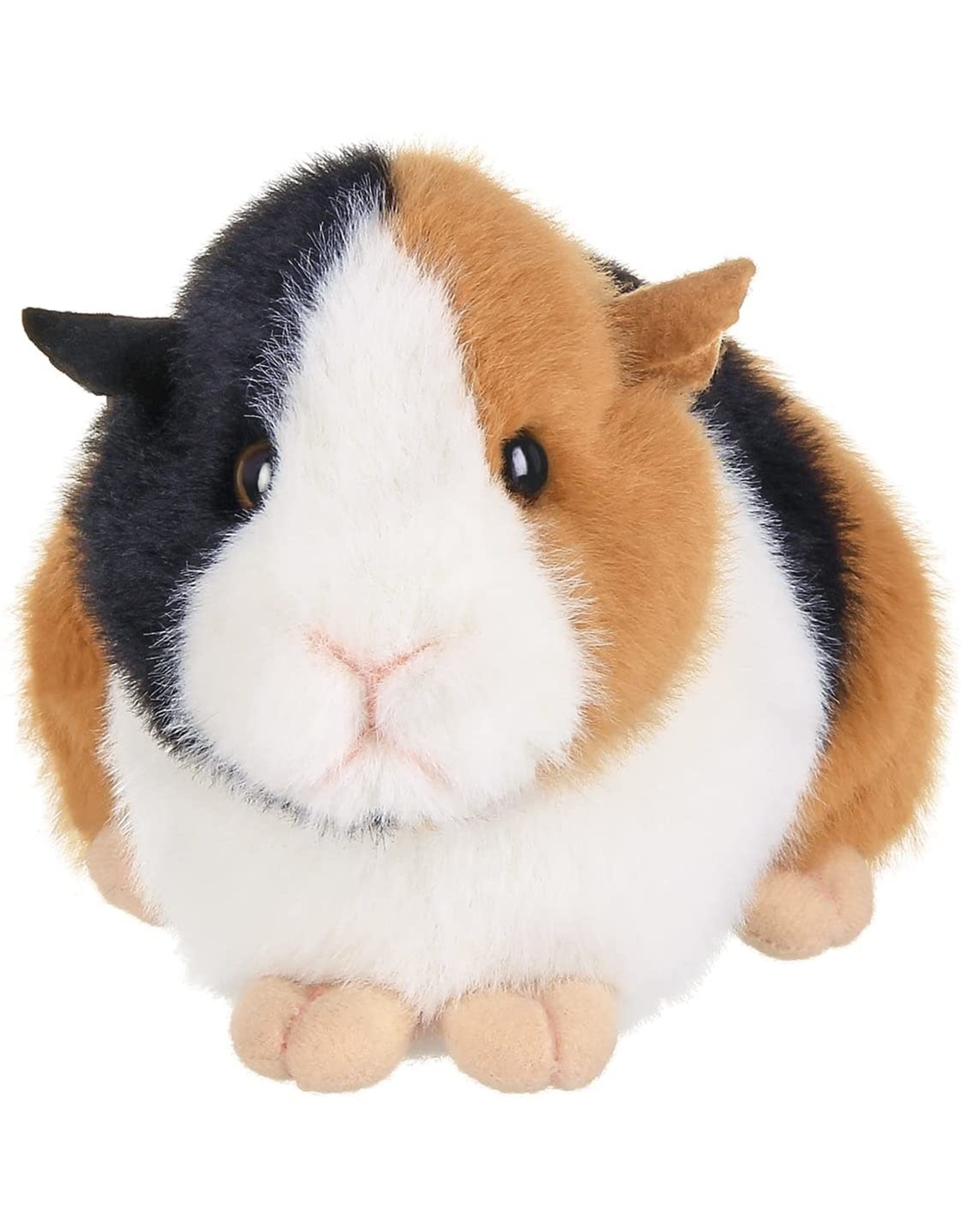 Scooter the Guinea Pig 8"