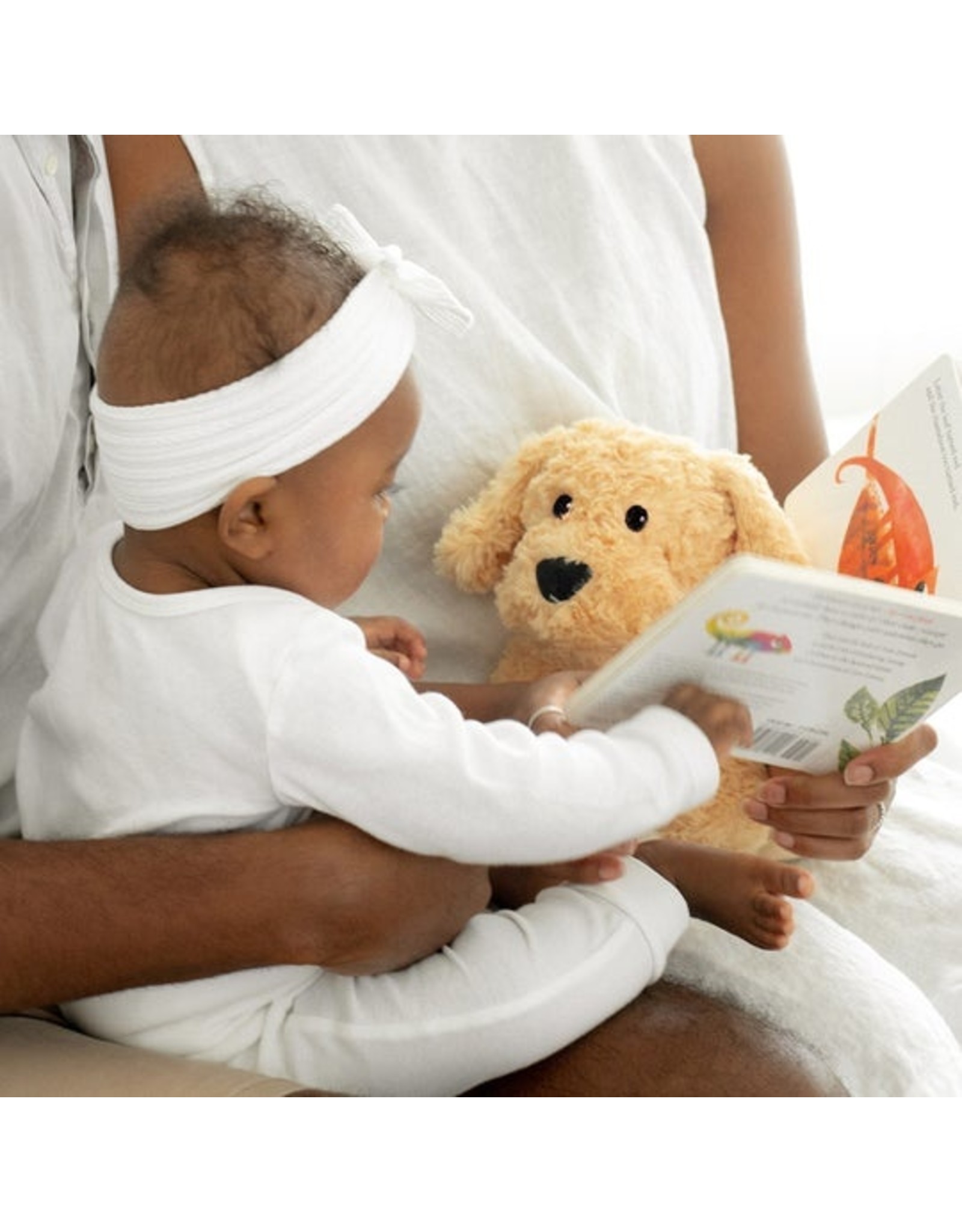 Warmies Warmies Golden Dog