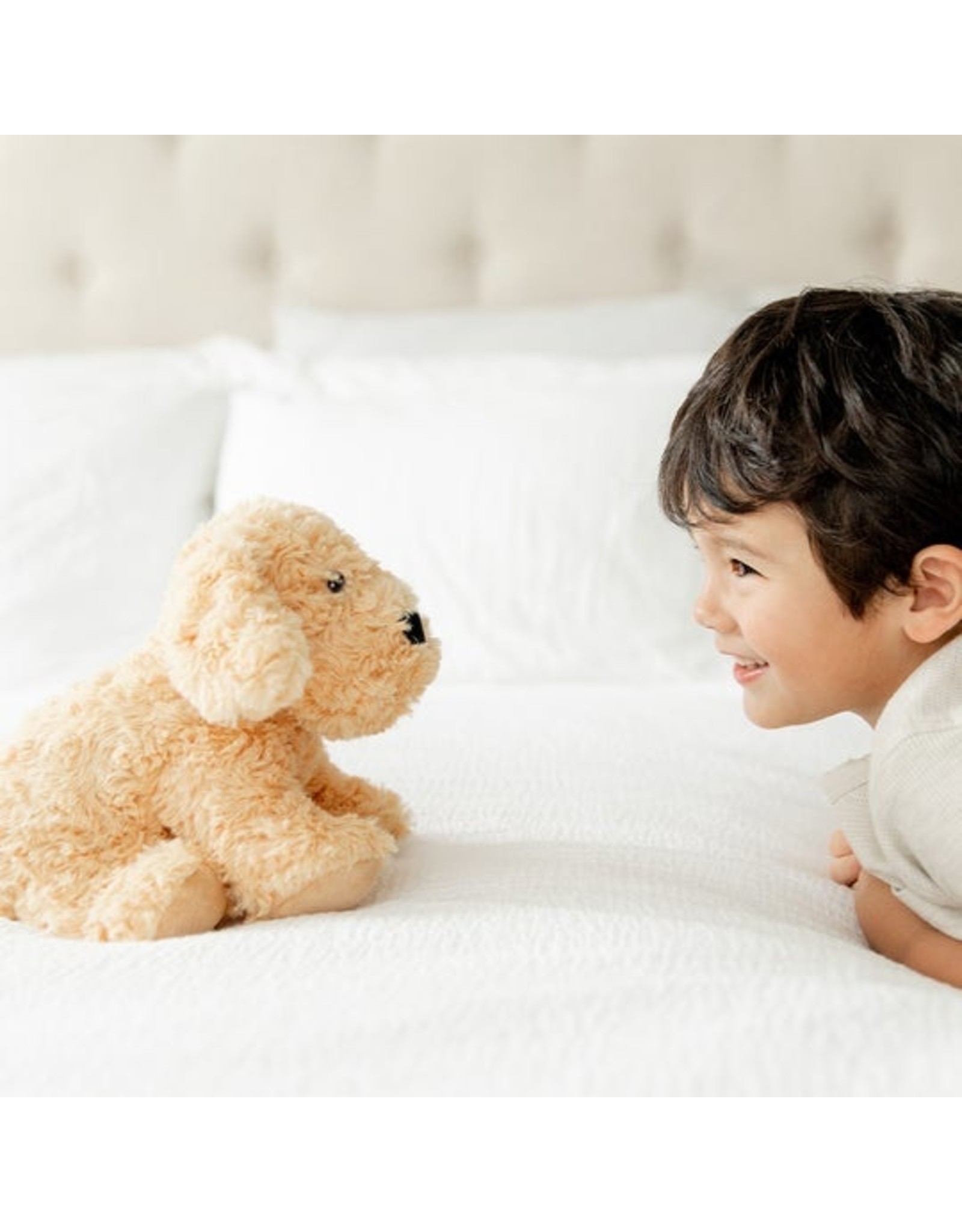 Warmies Warmies Golden Dog