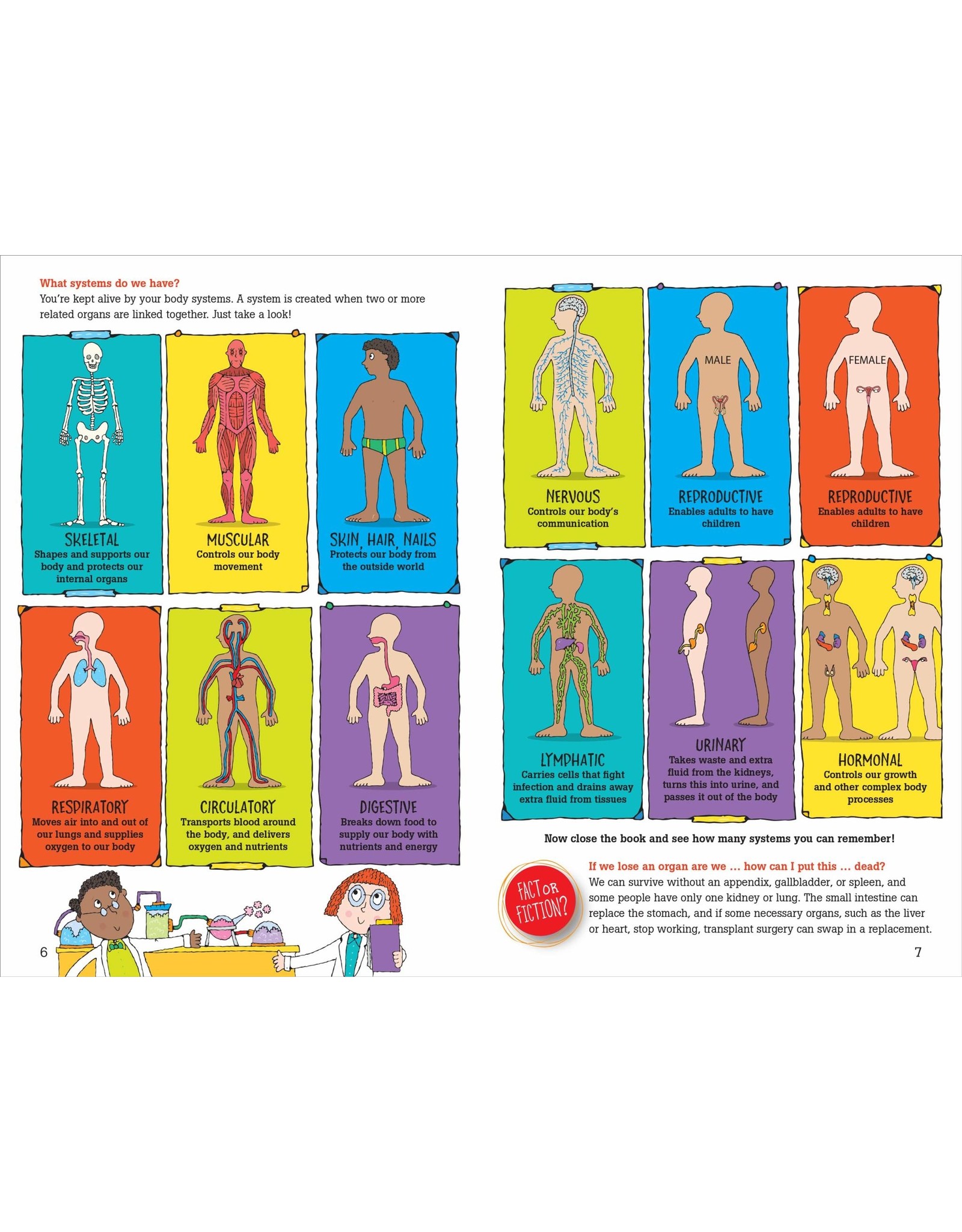 buy-the-human-body-anatomy-facts-and-activity-book-for-kids-ages-5-9