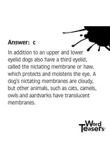 Word Teasers: About Dogs