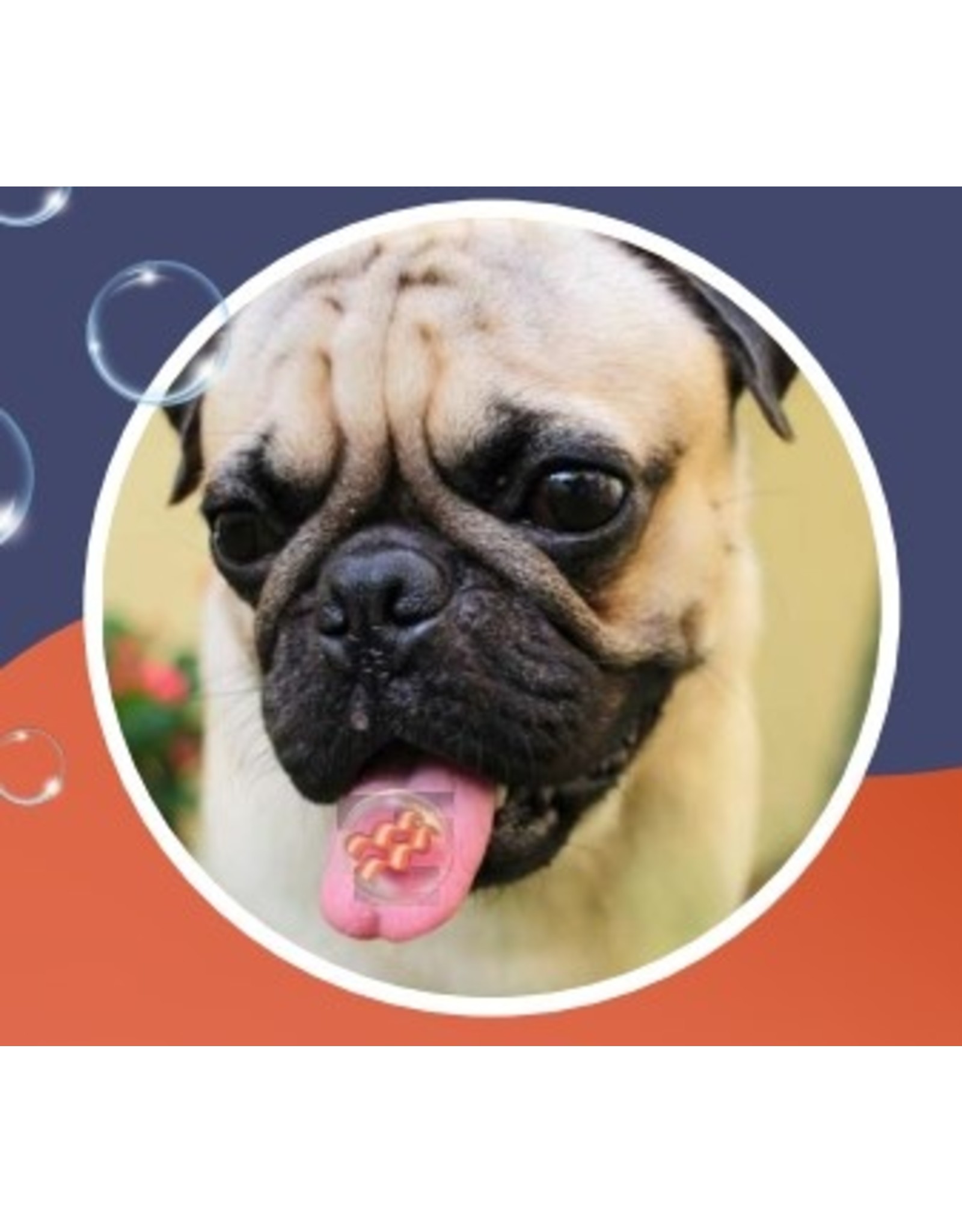 Flavored Edible Bubbles For Dogs