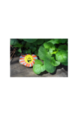 Hide & Seek Rock Painting Kit