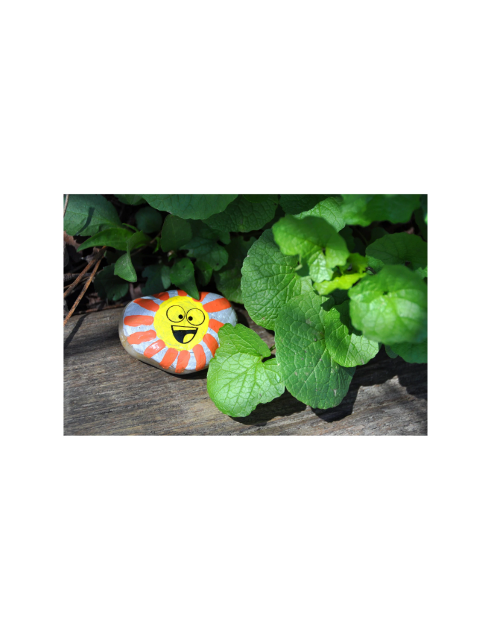 Hide & Seek Rock Painting Kit