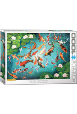 Koi Fish 1000pcs