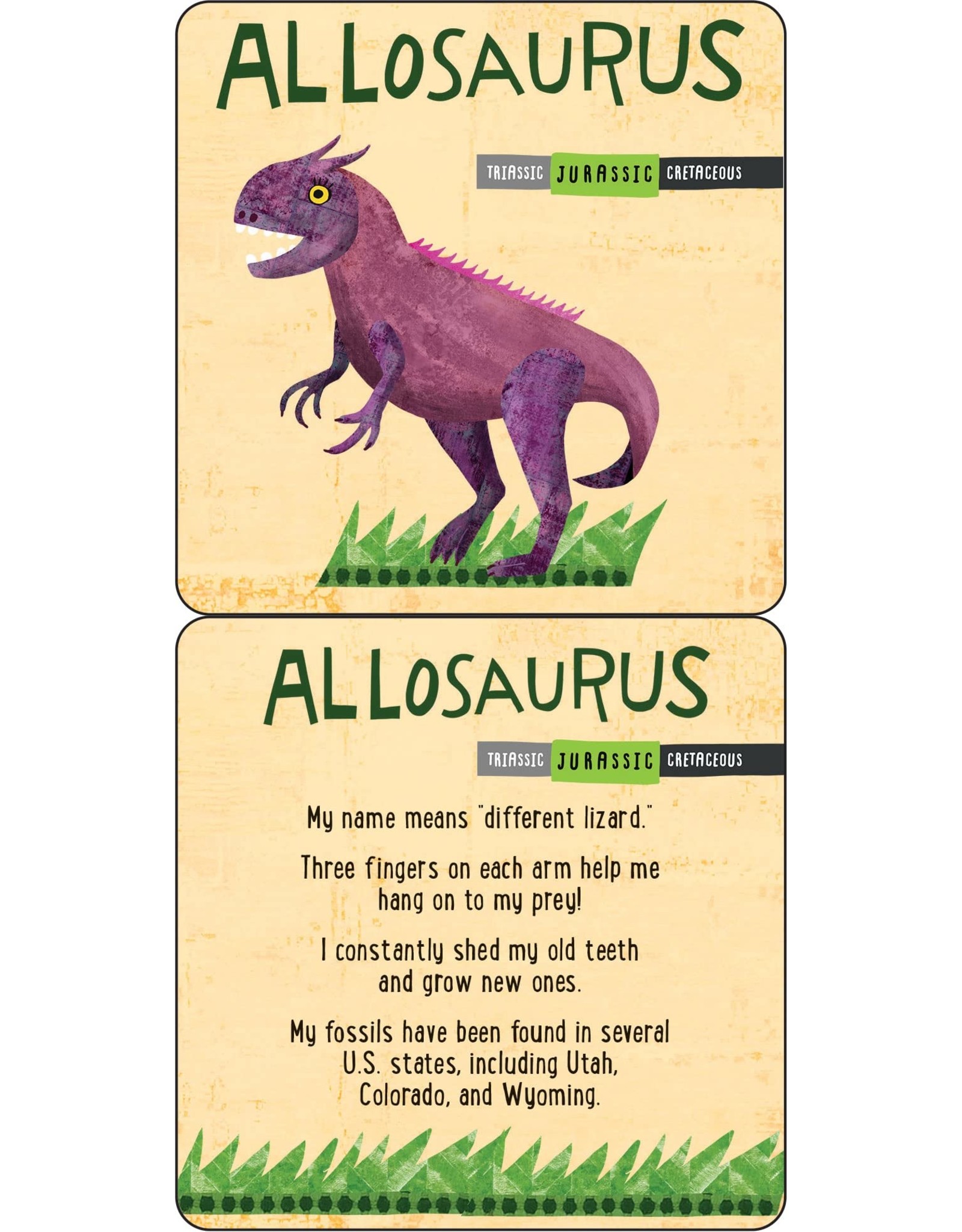 Dinosaurs: Fascinating Lunch Box Notes