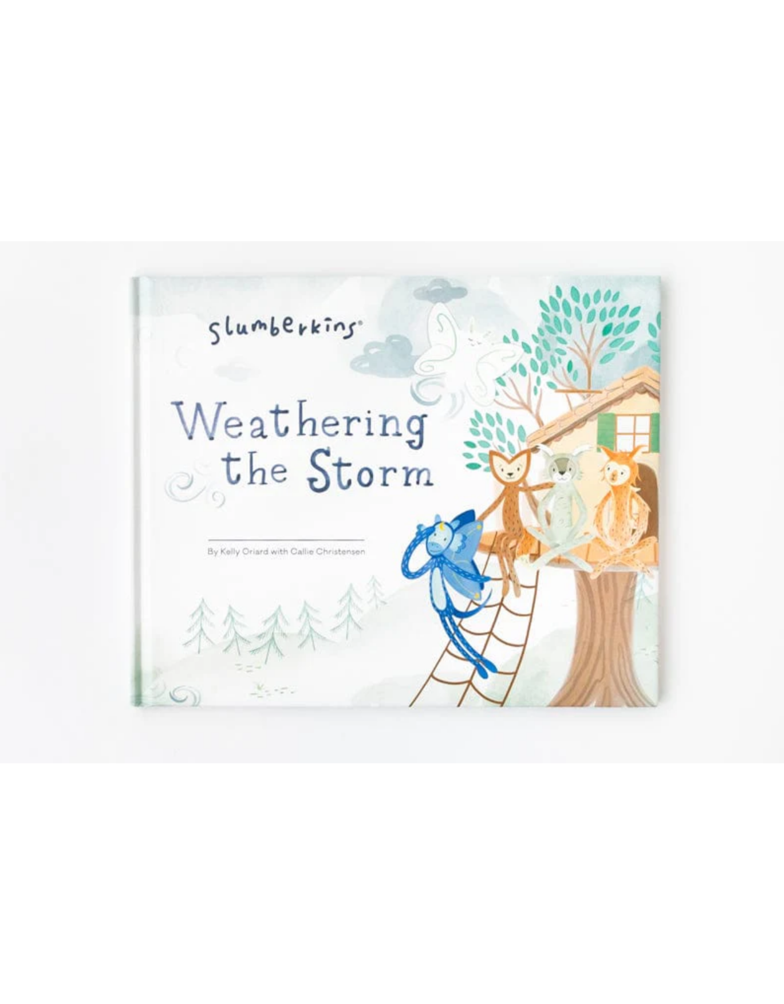 Weathering the Storm Book - Resilience