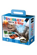 Dinosaurs X-Ray Game