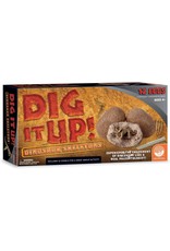 Dig it Up! Dino Skeletons 12 Pack