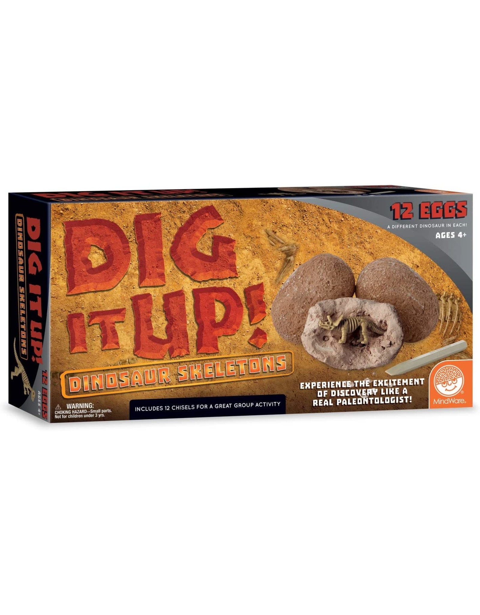 Dig it Up! Dino Skeletons 12 Pack