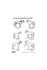 Breyer "H is For Horse" Coloring Book w/Stickers