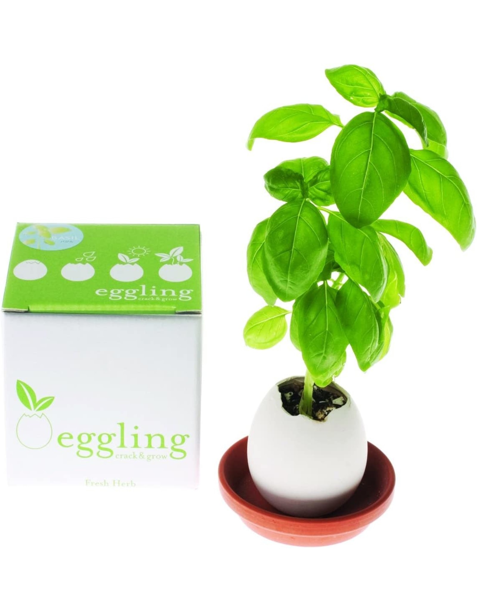 Eggling: Basil