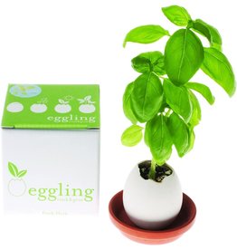 Eggling: Basil