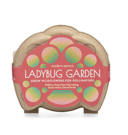 Curious Critters: Ladybug Garden
