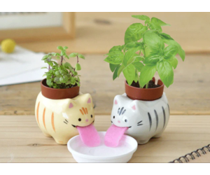 Cute Ceramic Animals That Drink From Straws When the Plants on Their Backs  Get Thirsty