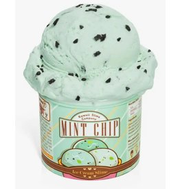 Mint Chip Scented Ice Cream Pint Slime