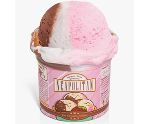 Neapolitan Scented Ice Cream Pint Slime