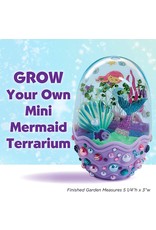 Mini Garden: Mermaid Mini Garden: Mermaid