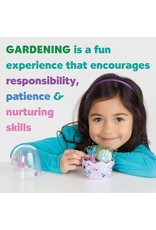 Mini Garden: Mermaid Mini Garden: Mermaid