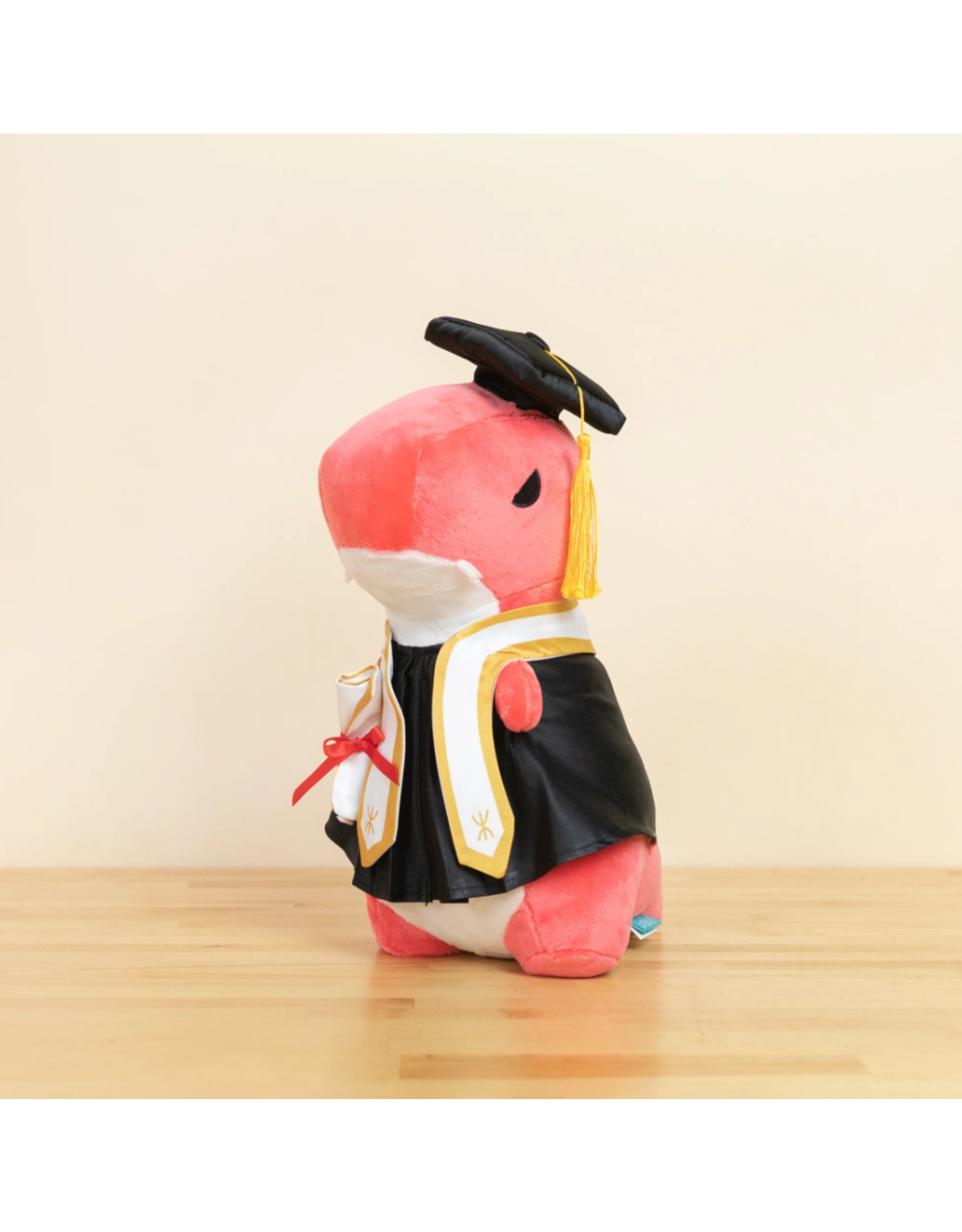 Graduation Rexxi