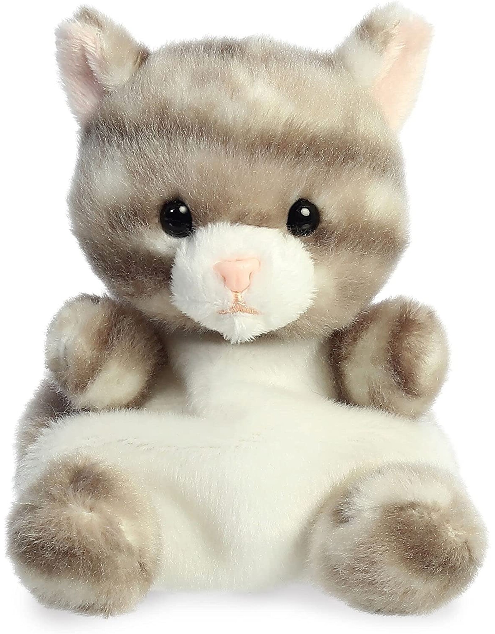 Silver Kitty Palm Pal