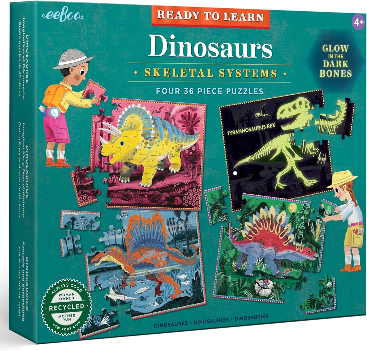 https://cdn.shoplightspeed.com/shops/640727/files/60333246/ready-to-learn-dino-skeletal-systems-36pcs.jpg