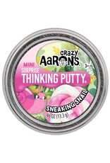 Crazy Aaron's Easter Mini Tin Asst.