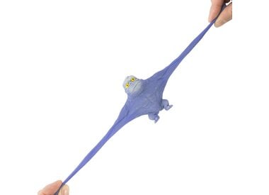 Sensory/Fidget