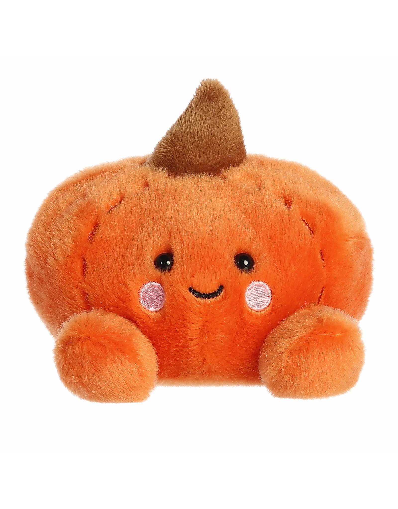 Paisley Pumpkin Palm Pal