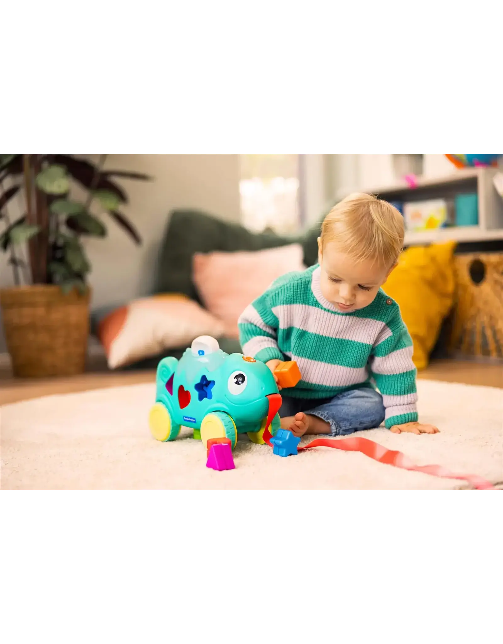 Color & Shape Sorter: Chameleon