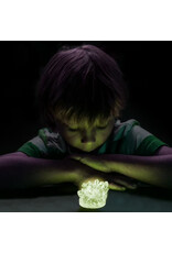 National Geographic Glow-in-the-Dark Crystal Lab