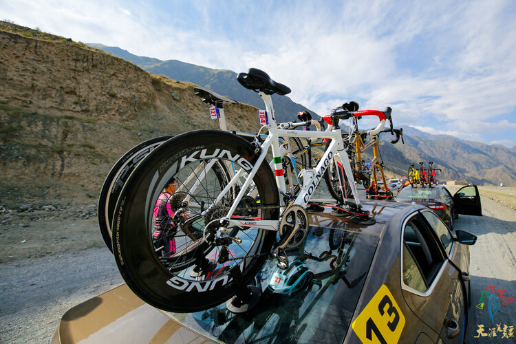 TreeFrog TreeFrog support à vélo model PRO 2